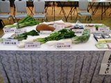 伝統野菜2