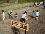 写真2