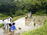 写真1