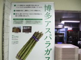 大パネル