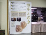 展示パネル