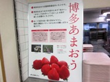 パネル展示