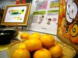 写真2