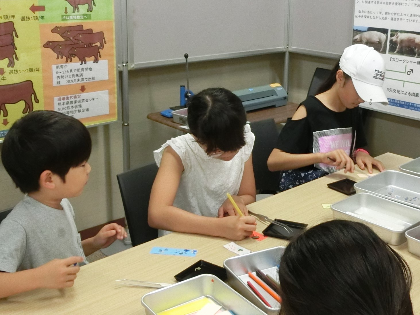 7 牧草を使ったしおり作り（家畜改良センター熊本牧場・宮崎牧場）