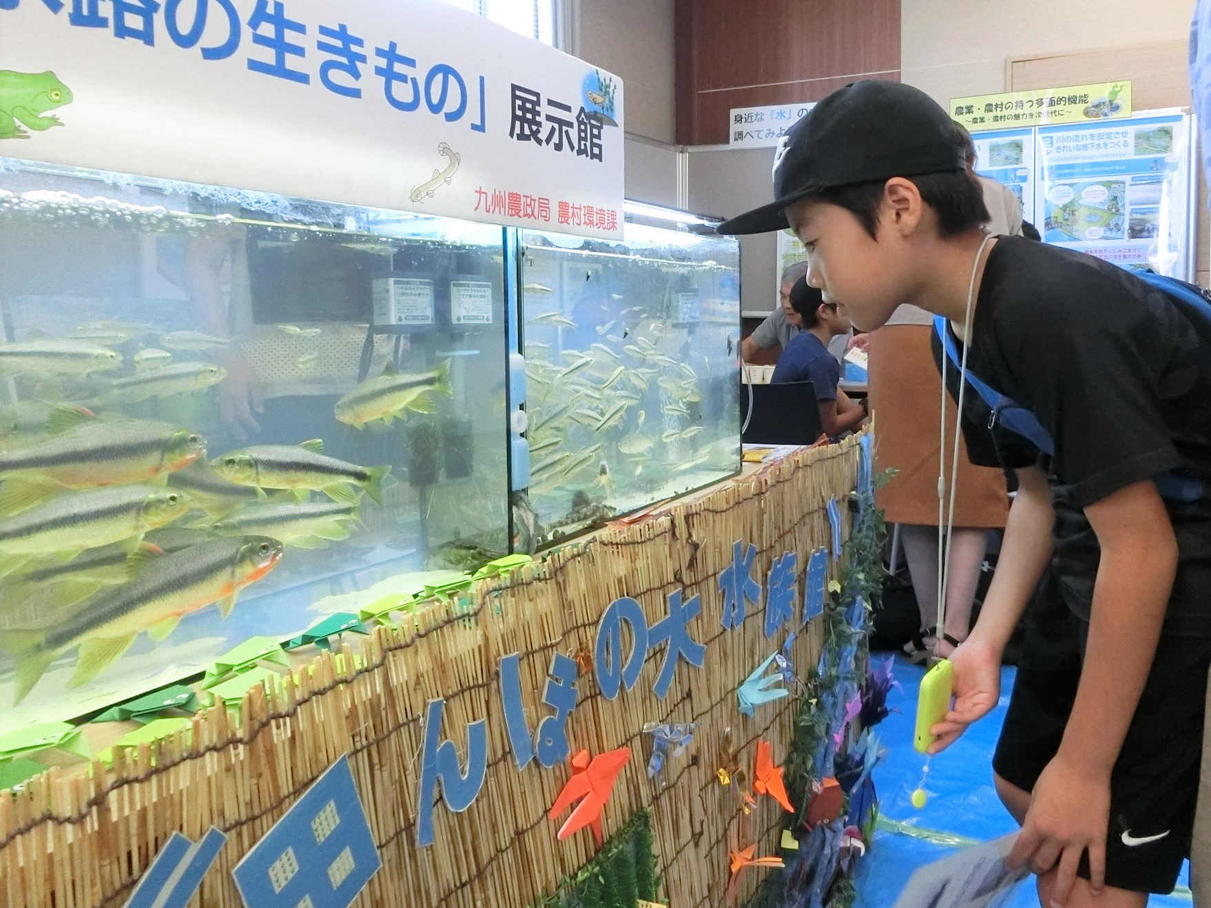 5 水路の生き物を見てみよう