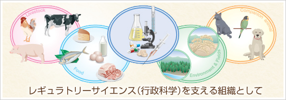 レギュラトリーサイエンス（行政科学）を支える組織として