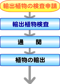 輸出植物検疫の流れ
