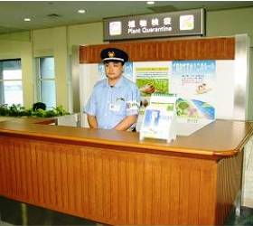 空港内の植物検疫カウンター
