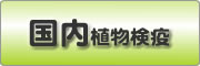 国内植物検疫