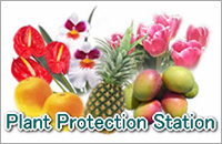 Plant Protection Station
