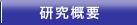 研究概要