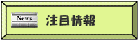 注目情報