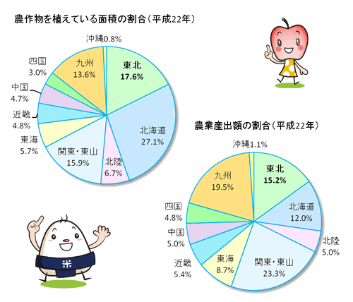 「グラフ」農作物を植えている面積の割合［左］農業産出額の割合［右］