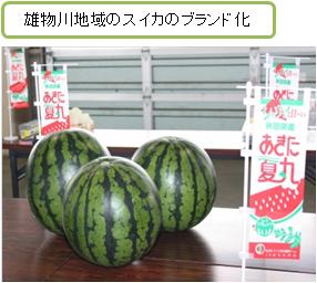 雄物川地域のスイカのブランド化