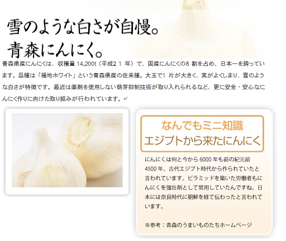 雪のような白さが自慢。青森にんにく