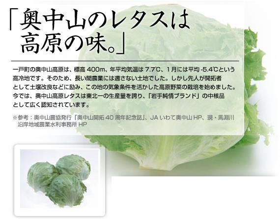 奥中山レタス