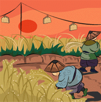 稲刈り