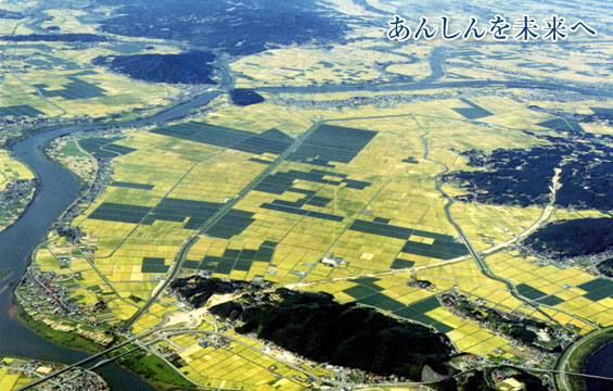 あんしんを未来へ