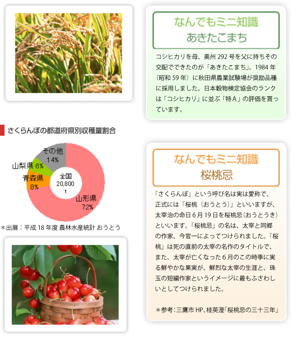 なんでもミニ知識 あきたこまち・桜桃