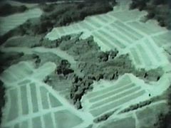 造成された水田