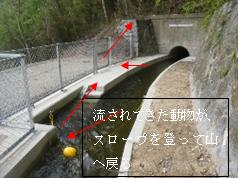 開渠に設置した脱出スロープ
