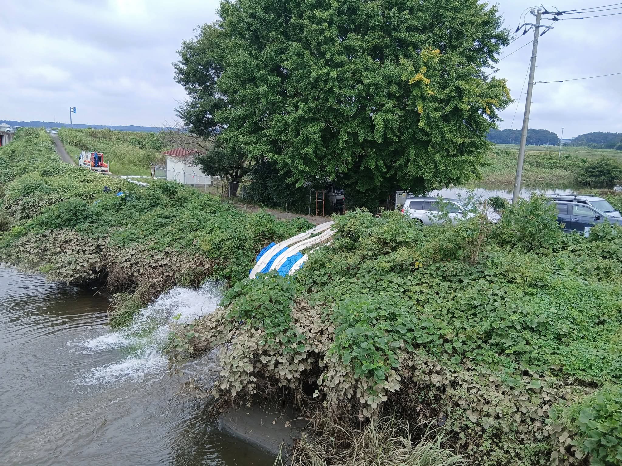 排水ポンプ稼働の様子