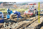 もえび36号