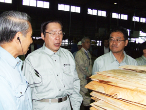 ホクヨープライウッド（株）単板工場の視察をする鹿野農林水産大臣