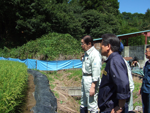 実証試験ほ場を視察する鹿野農林水産大臣1