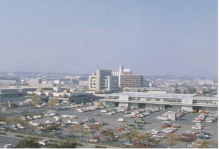 仙台市中央卸売市場