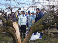 鹿野農林水産大臣の今冬の大雪等による農業関係被害状況の視察