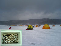 岩洞湖でのわかさぎ釣りの様子