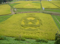 アテルイの顔を模した田んぼアートです