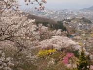 花見山より福島市街地を望む