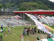 広瀬川に掛かる鯉のぼり