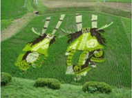 奥州市水沢区の田んぼアート