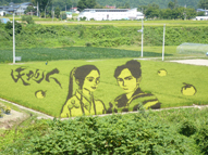 米沢市にある田んぼアート