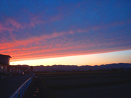 夕焼け