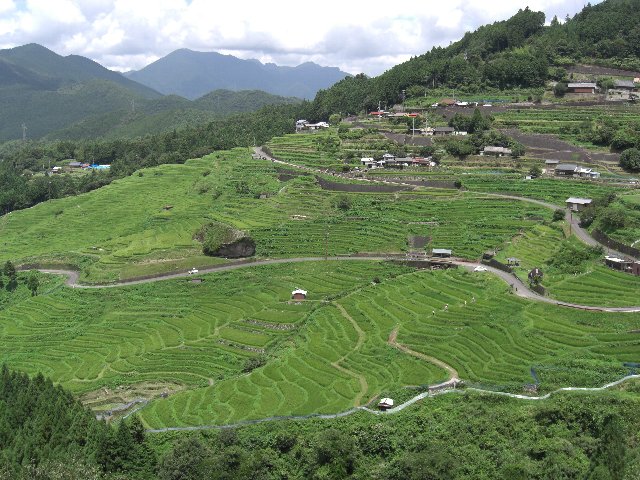 丸山千枚田（三重県）