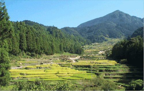 /noson/shinko/chusankan/img/photo2.gif