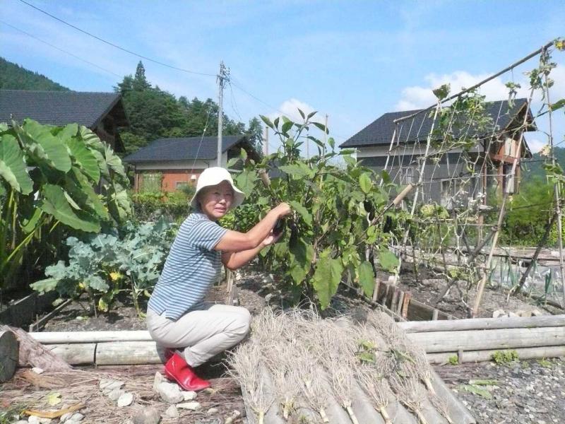農園での農作業