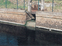 宮田導水路(雑排水流入)