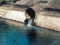 木津用水路(雑排水流入)