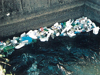 羽島用水路(ゴミ浮遊)