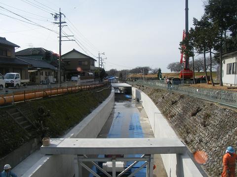 2009年1月撮影2