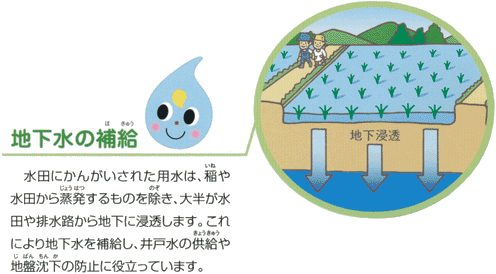 地下水の補給