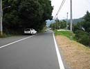 車に慣れ道路で遊ぶサル