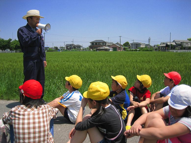 田植えの説明