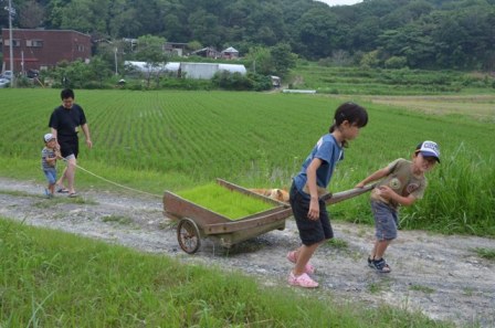 苗を運ぶ