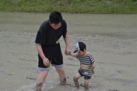 お父さんと田植え